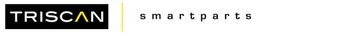 КОЛЬЦО АБС CITROEN P. BERLINGO 1.6-1, 854028403 TRISCAN