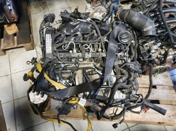 OSPRZĘT SILNIKA VW AUDI SEAT SKODA 1.6 TDI DDY