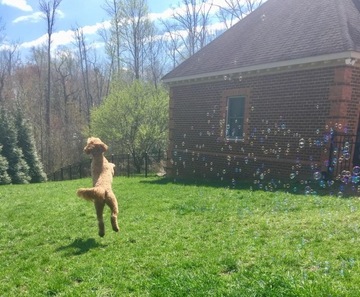 Установка генератора мыльных пузырей + жидкость