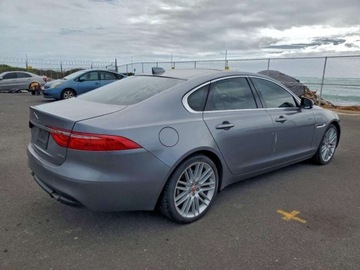 Jaguar XF II 2020 Jaguar XF Prestige 2020 2.0L 2.0 Benzyna 247KM, zdjęcie 3