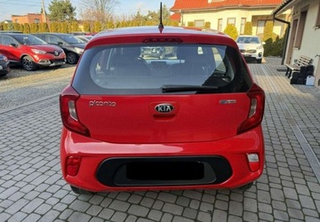 Kia Picanto III Hatchback 5d 1.0 MPI 67KM 2019 Kia Picanto 1,0 67KM klimatyzacja 1Wlasciciel Kola lato zima Benzyna, zdjęcie 7