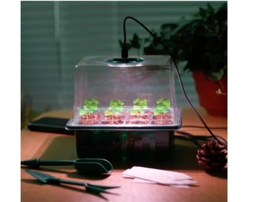 5 стартовых лотков для выращивания растений, семян цветов, мини-теплиц, светодиодных ламп