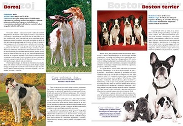 Породить собаку со всего мира