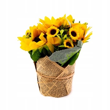 SŁONECZNIK W DONICZCE ROŚLINA OZDOBNA 18CM