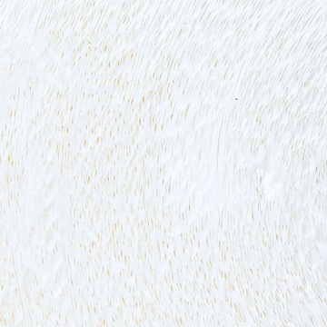 ТУАЛЕТНАЯ БУМАГА ЦЕЛЛЮЛОЗНАЯ 42м Мега Рулон