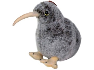 PTAK KIWI nielot MASKOTKA pluszowa PTASZEK _ rademenes.bajkowo