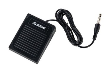 ОФИЦИАЛЬНЫЙ ДИЛЕР ЦИФРОВОГО ПИАНО ALESIS CONCERT