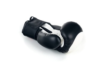 ТРЕНИРОВОЧНЫЕ БОКСЕРСКИЕ ПЕРЧАТКИ CHAMPION RING, 12 УНЦИЙ