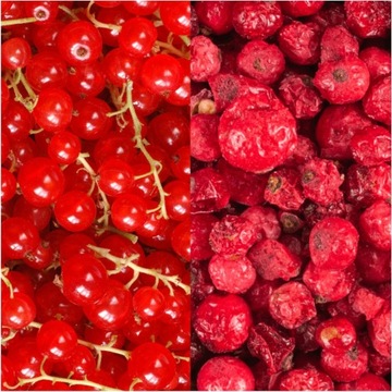 RED CURRENTS Сублимированная смородина красная 25г HiFOOD