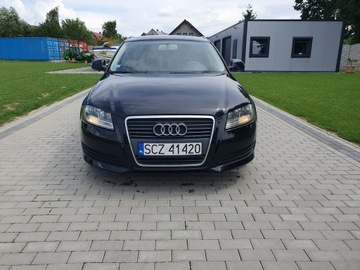 Audi A3 8P Hatchback 3d 1.9 TDI 105KM 2008 Audi A3 1.9tdi 105KM Sportback LIFT Raty Zamian, zdjęcie 5