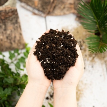 Специализированный - ПРЕМИУМ - Субстрат Soil MIX для PALM Juk - Водопроницаемый
