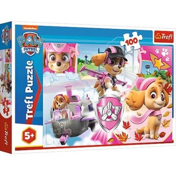 Puzzle Psi Patrol Sky w akcji 100 elementów