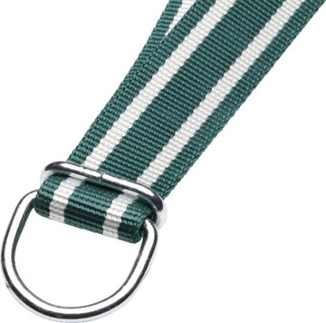 Ошейник 130х4см с D-link Standard