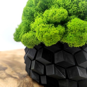 Вазон с мхом хроботек CHROBOTEK MOSS в черном горшке, 3D печать