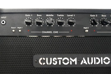 Пользовательские усилители звука OD-100 STANDARD PLUS /SUHR