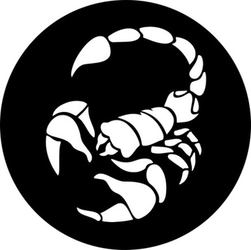 Naklejka SKORPION 12 X 12 CM
