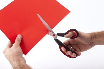 Nożyczki SG-250 250mm DRECT