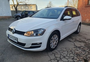 Volkswagen Golf VII Variant 1.6 TDI CR DPF BlueMotion Technology 105KM 2014 Volkswagen Golf Serwis Zarejestrowany GetHelp 1.6 Diesel 105KM, zdjęcie 6