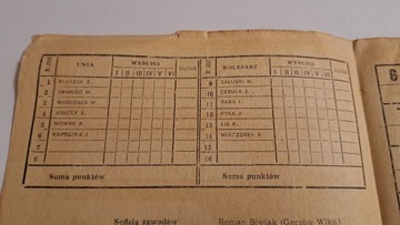 ЖЕЛЕЗНАЯ ДОРОГА ОПОЛЕ - УНИА ТАРНОВ - ПРОГРАММА ЧИСТОЙ СКОРОСТНОЙ ПУТИ