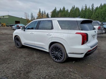 Hyundai 2025 Hyundai Palisade Calligraphy 2025 3.8l 3.8 Benzyna 291KM, zdjęcie 1