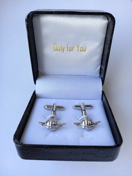 Запонки серебристо-темно-синего цвета EXC02316