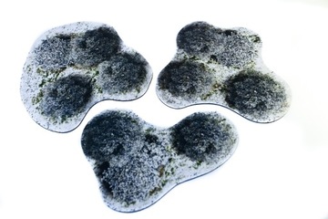 2D УНИВЕРСАЛЬНЫЕ ПЛОЩАДКИ - ЗИМНИЙ ЛЕС