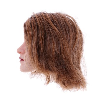 1/6 Европейская скульптура головы красоты, короткая коричневая