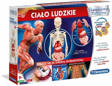 Clementoni Zabawka Ciało ludzkie CL-60249