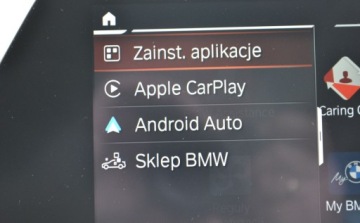 BMW Seria 8 II M Coupe 4.4 M850i 530KM 2020 BMW Seria 8 M850i xDrive Dealer BMW Bonkowscy Gorzow Wlkp. 4.4 Benzyna, zdjęcie 21