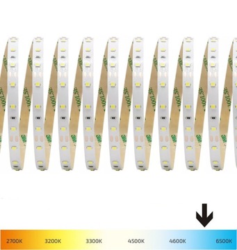 TAŚMA LED 2835 4,8W BIAŁY ZIMNA 6000K IP20