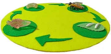 pszczoła cykl rozwoju, mata z Warsztatu Montessori