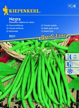 Kiepenkerl nasiona Fasola Negra