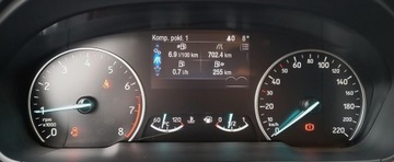 Ford Ecosport II SUV Facelifting 1.0 EcoBoost 125KM 2020 Ford EcoSport 125KM, Salon PL,, zdjęcie 13