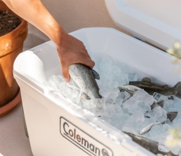 Пассивный холодильник 100QT Wheeled Cooler Coleman W-wa