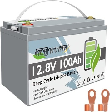 Литий-железо-фосфатная батарея LiFePO4 12,8 В 100 Ач TCBWORTH АККУМУЛЯТОР