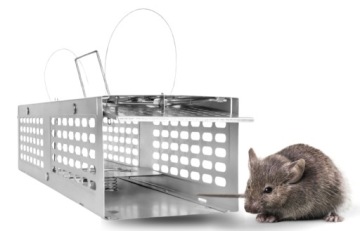 ЛОВУШКА ДЛЯ МЫШИ И ЛОВУШКА ДЛЯ КРЫС