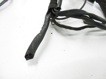 Компьютер-контроллер жгута проводов сжиженного нефтяного газа Landi Renzo EVO