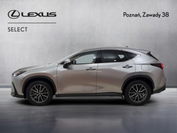 Lexus NX II SUV Facelifting 2.5 450h+ 309KM 2023 Lexus NX 450h+ Prestige AWD II (2021-) Lexus NX 45, zdjęcie 4