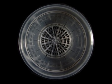 Прозрачный бесцветный горшок для орхидеи Орхидея <14см 2шт