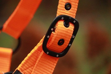 Недоуздок Imperial для верховой езды, размер COB