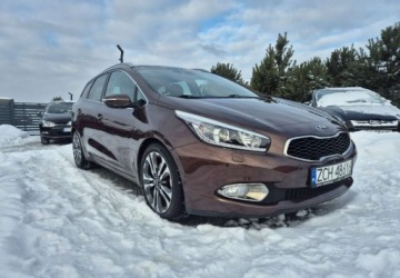 Kia Ceed II Kombi 1.6 GDI 135KM 2014 Kia Ceed 1,6 135 KM Business Line Zarejestrowany w PL 1.6 Benzyna, zdjęcie 19
