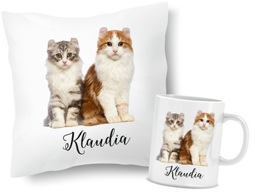 КОМПЛЕКТ Подушка+Кружка с котиками КОШКИ+ИМЯ