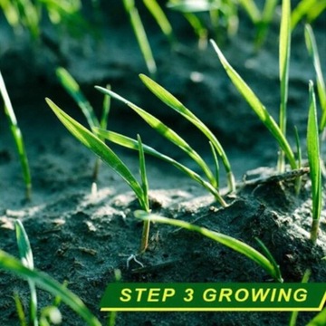 5 биоразлагаемых удобрений для семян травы