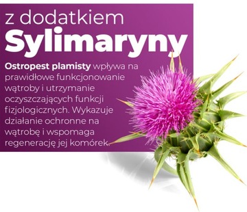 Таблетки расторопши - защита печени, детоксикация, защита печени