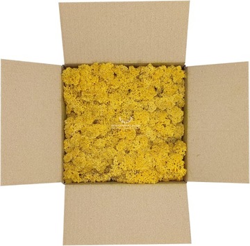 Chrobotek Dark Yellow Темно-желтый 250г НЕТТО