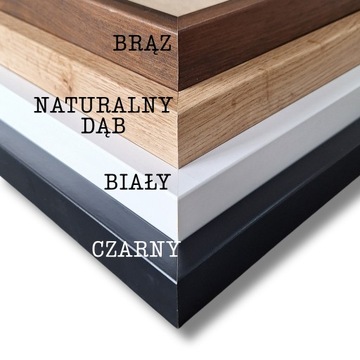 Изображение растений подушечного мха, стабилизированное 100/50