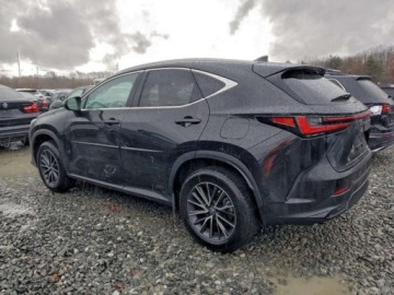 Lexus NX II 2025 Lexus NX 250 Premium 2025 2.5 Benzyna 203KM, zdjęcie 1