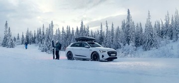 Багажник на крышу с рейлингами THULE Evo 7104+712500 для Mercedes Vito W639