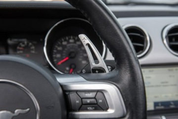 Ford Mustang VI Convertible 2.3 EcoBoost 317KM 2016 Ford Mustang Lift ! Cabrio 2.3i 317KM Super Stan !, zdjęcie 21