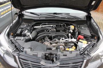 Subaru Forester V 2018 Subaru Forester 2.5i Premium AWD CVT – bezwypadkowy, 1. rejestracja 2019, zdjęcie 14